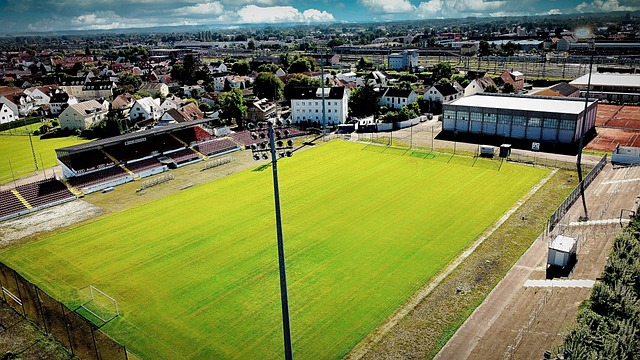 应该引起更 应该引起更